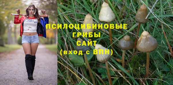 кокаин премиум Богородицк