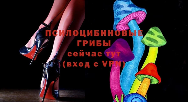 меф Белокуриха