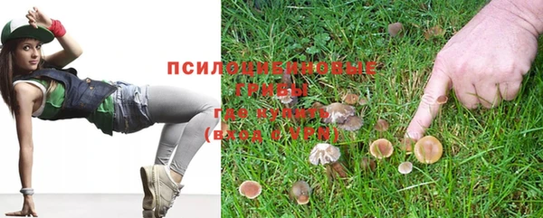 меф Белокуриха
