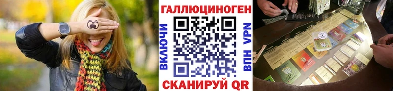 Галлюциногенные грибы Psilocybine cubensis  Буйнакск 